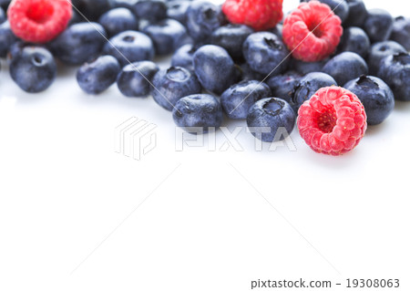 Group of berries 19308063