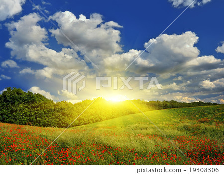 Sunrise over the spring meadow Sunrise over the spring meadow 19308306