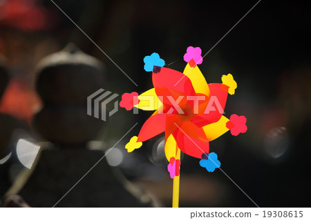 Tankaguruma 19308615