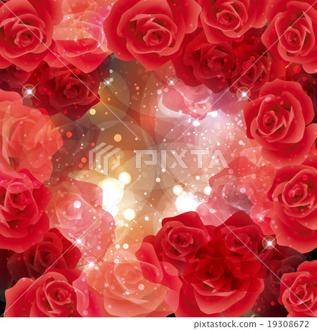 玫瑰背景 19308672