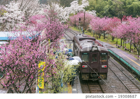 Kobe station of Harusame 19308687