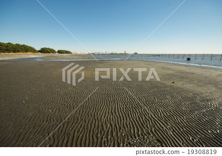 桑迪海岸 19308819