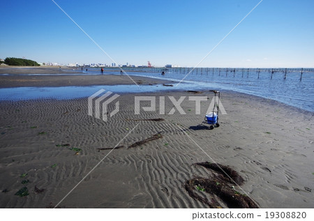 船橋三番瀨海濱公園 19308820