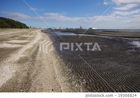 Coast of Sancho-ei low tide 19308824