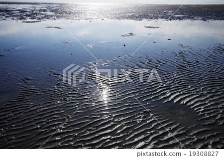 海和砂紙 19308827