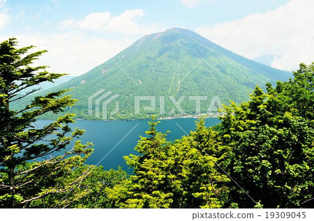 Oku-Nikko Drive Line Oku-Nikko Drive Line 19309045