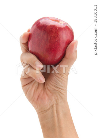 Grasped apples Grasped apples 19310013