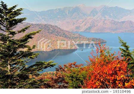 Oku-Nikko Drive Line Oku-Nikko Drive Line 19310496