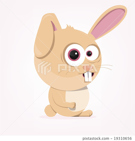 Cartoon Rabbit Cartoon Rabbit 19310656