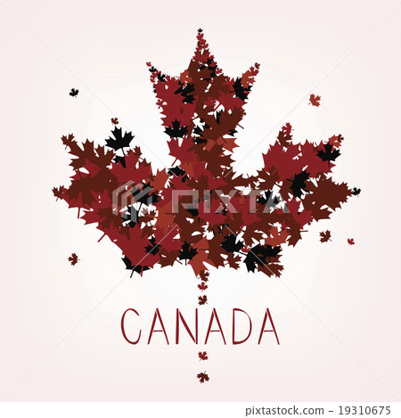 Maple Leafs 19310675