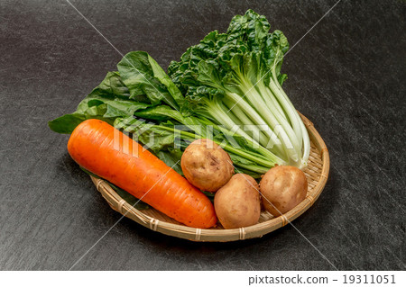 Vegetables at home garden Vegetables of the private vegetable garden Vegetables at home garden Vegetables of the private vegetable garden 19311051