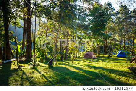 sun ligth in the morning sun ligth in the morning 19312577