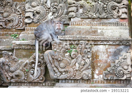 Monkey on stone carving in Bali, Indonesia Monkey on stone carving in Bali, Indonesia 19313221