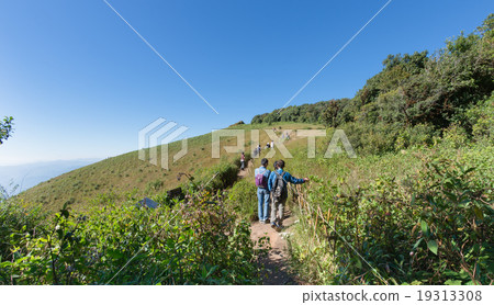Kew Mae Pan nature trail 19313308