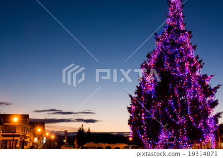 Tree illumination and crescent moon Tree illumination and crescent moon 19314071