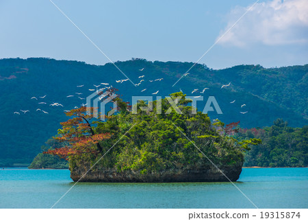 Herons of the feather inland sea 19315874