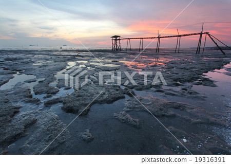 Sunset at muddy coastline  19316391