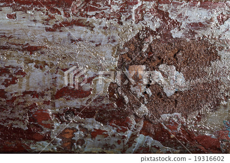 wood texture with paint and varnish wood texture with paint and varnish 19316602