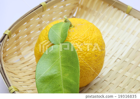 Yuzu 19316835