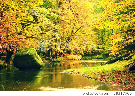 Colors of autumn mountain river, fall trees above Colors of autumn mountain river, fall trees above 19317766