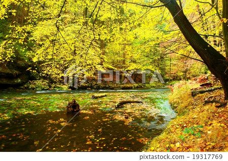 Rainy evening at stream. Autumn river bank Rainy evening at stream. Autumn river bank 19317769