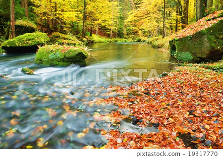 Colors of autumn mountain river, fallen leaves, Colors of autumn mountain river, fallen leaves, 19317770