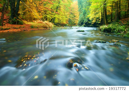 Autumn mountain river covered by orange leaves. Autumn mountain river covered by orange leaves. 19317772