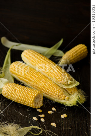 Organic sweet corn on wooden table Organic sweet corn on wooden table 19319352