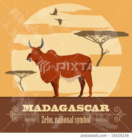 Madagascar. National symbol zebu 19320236