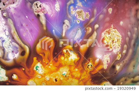 Precious  Pattern 19320949