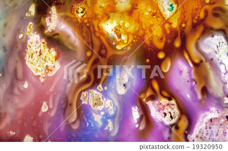 Precious  Pattern 19320950