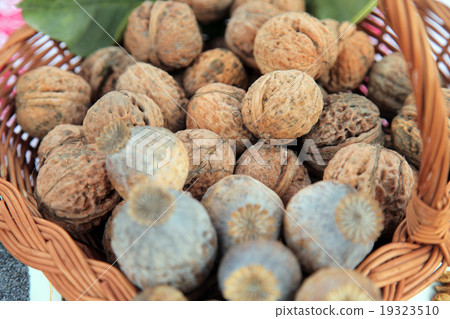A pile of walnuts and poppy A pile of walnuts and poppy 19323510