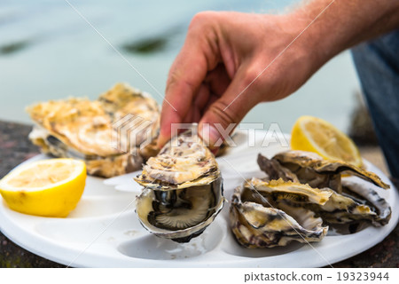 Male hand holding oysters Male hand holding oysters 19323944