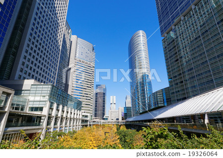 Autumn leaves Shinagawa Intercity and Shinagawa Grand Commons 19326064