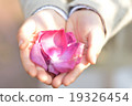here you are 19326454