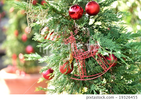 Christmas Christmas 19326455