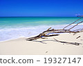 海灘 19327147