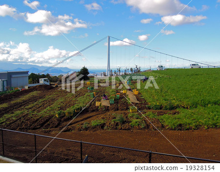 Mishima Sky Walk 19328154