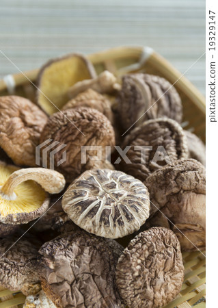 Donko Shiitake mushroom, a specialty of Oita Prefecture 19329147