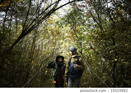 A couple exploring the forest 19329982