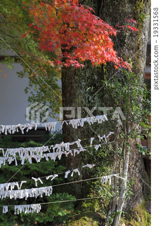 Omikuji 19331568