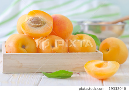 apricots 19332046