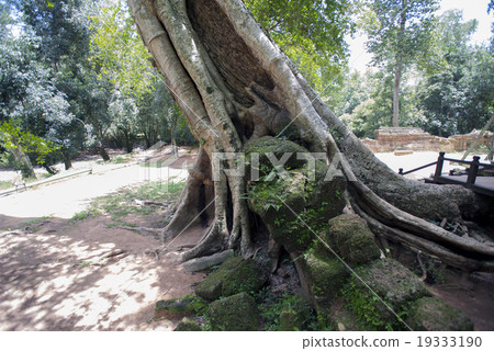 柬埔寨暹粒塔帕拉姆遺址 柬埔寨暹粒塔帕拉姆遺址 19333190