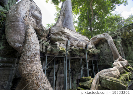Cambodia Siem Reap Taaplam ruins 19333201