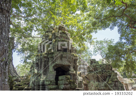 柬埔寨暹粒塔帕拉姆遺址 柬埔寨暹粒塔帕拉姆遺址 19333202