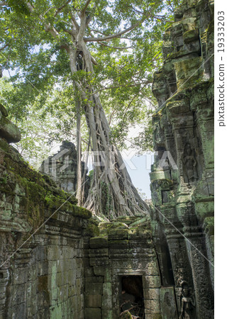 Cambodia Siem Reap Taaplam ruins Cambodia Siem Reap Taaplam ruins 19333203