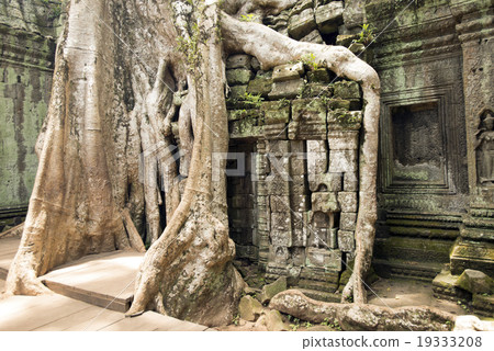 柬埔寨暹粒塔帕拉姆遺址 19333208