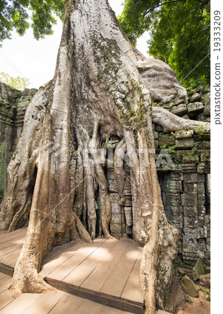 柬埔寨暹粒塔帕拉姆遺址 19333209