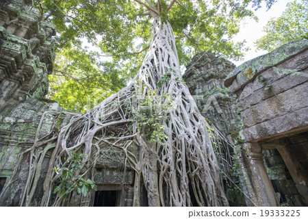 柬埔寨暹粒塔帕拉姆遺址 19333225