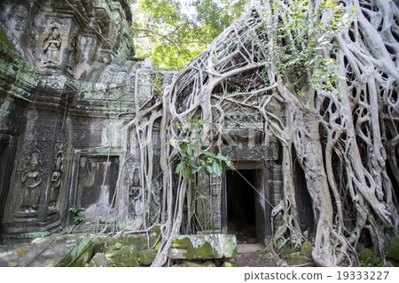 Cambodia Siem Reap Taaplam ruins Cambodia Siem Reap Taaplam ruins 19333227